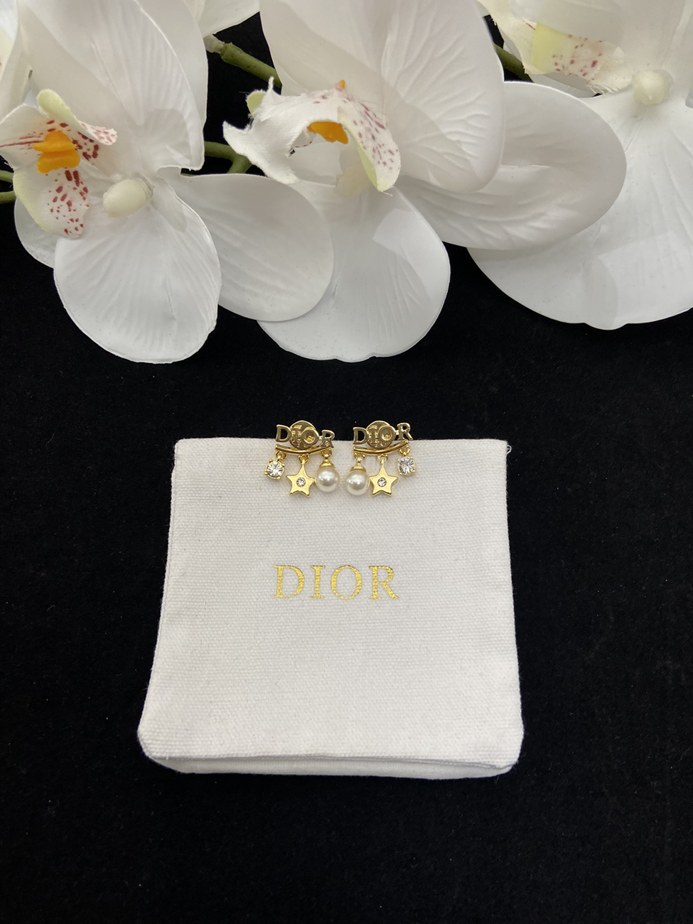 Dior Earrings (11) - www.newkick.vip
